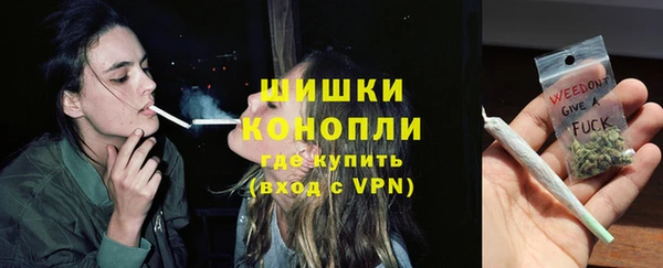 дмт Дмитровск