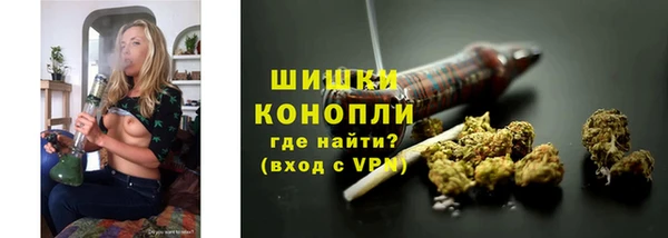 дмт Дмитровск