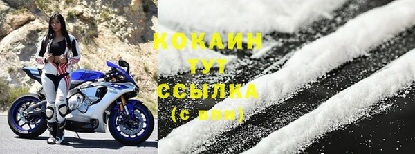 дмт Дмитровск