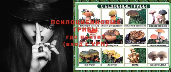 дмт Дмитровск