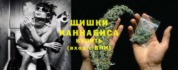 дмт Дмитровск