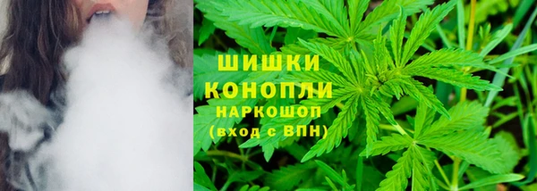 дмт Дмитровск